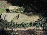 image of grave number 768397